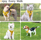 No Pull Dog Harness with Leash Set for Small Sized Dog, Reflective Adjustable No Choke Front Clip Cat Vest Harness with Breathable Mesh, Comfortable Soft Padded Pet Vest, Yellow S