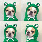 Dog Hoodies Clothes Autumn Winter Sweatshirts Teddy Bulldog Bulldog Clothing Can Transform Into Frog Elk Mouse (Green Frog,XL)