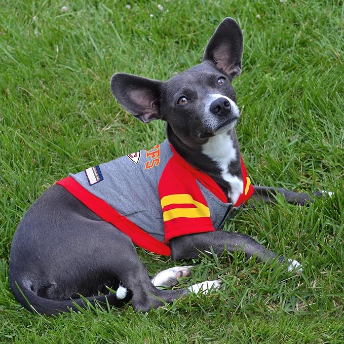 Pets First KCC-4044-XS NFL Kansas City Chiefs Hoodie for Dogs & Cats. | NFL Football Licensed Dog Hoody Tee Shirt, X-Small| Sports Hoody T-Shirt for Pets | Licensed Sporty Dog Shirt.