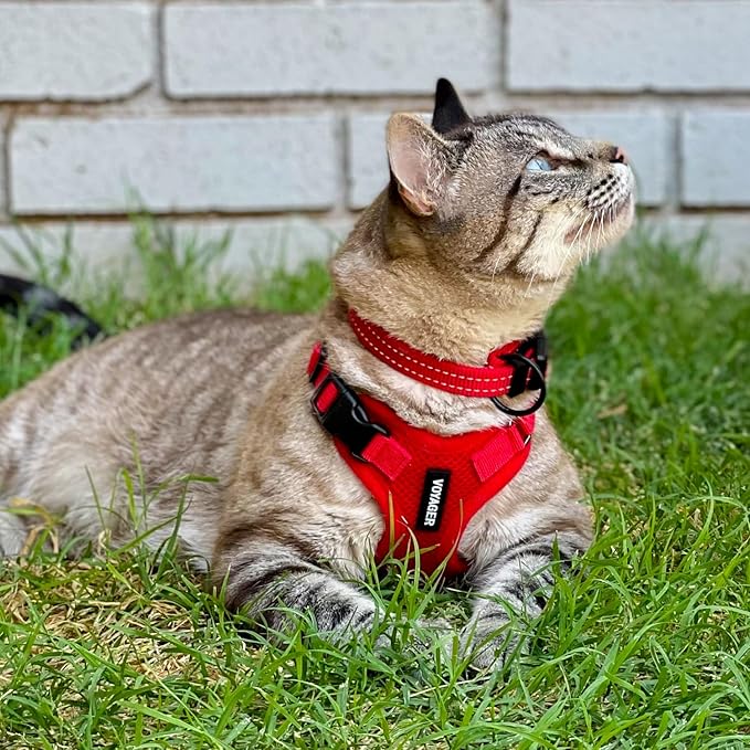 Voyager Escape-Proof Step-in Lock Cat Harness & 5ft Neoprene-Handle Leash Set All-Weather Mesh with Reflective Stitching for Small to Large Cats by Best Pet Supplies, Red, XXS