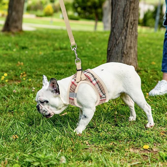 PUPTECK Adjustable Dog Harness Collar and Leash Set Step in No Pull Pet Harness for Small Medium Dogs Puppy and Cats Outdoor Walking Running, Soft Mesh Padded Reflective Vest Harnesses, Khaki S