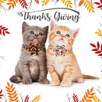 ADOGGYGO Thanksgiving Cat Collars with Removable Flower Bell, Adjustable Thanksgiving Fall Pumpkin Floral Collars for Girl Cats & Kittens