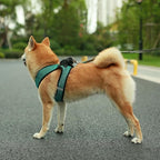Best Pet Supplies - All Weather Mesh/Plush, Reflective, No Pull Harness for Small, Medium Dogs, Cats - Secure with Hook & Loop Fastener, Buckle, Double D-Rings - Turquoise 2-Tone, XL