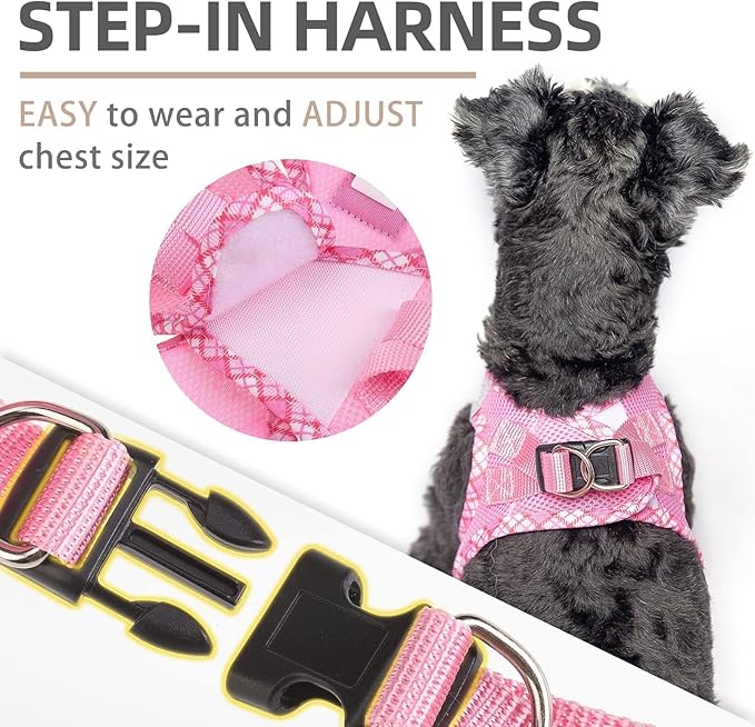 PUPTECK Dog Harness and Leash Set for Small Medium Dogs No Pull Step-in Soft Mesh Puppy Cat Vest Harnesses Reflective at Night, Pink XS
