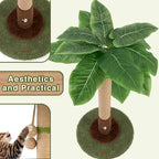 Cat Scratching Post for Indoor Cats and Kitten - 35.43" Tall Cat Scratching Post with Sisal Rope,Palm Tree Cat Scratch Post with Hanging Ball (35.4-Green, 35.4in)