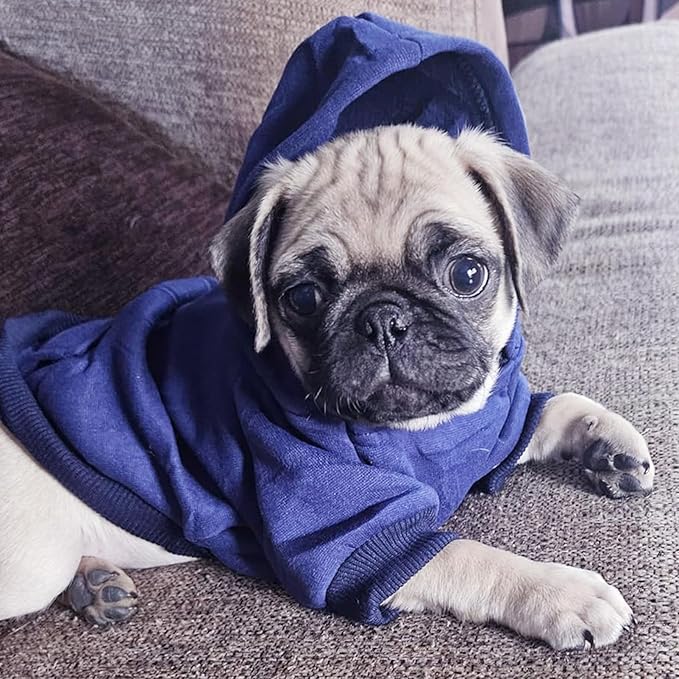 Jecikelon Winter Dog Hoodie Sweatshirts with Pockets Warm Dog Clothes for Small Dogs Chihuahua Coat Clothing Puppy Cat Custume (Navy, Small)