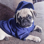 Jecikelon Winter Dog Hoodie Sweatshirts with Pockets Warm Dog Clothes for Small Dogs Chihuahua Coat Clothing Puppy Cat Custume (Navy, Large)