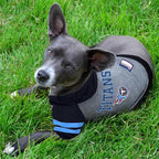 Pets First Tennessee Titans Hoodie T-Shirt, Large