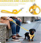 AIITLE Easy Walk Dog Vest Harness and Leash Set, Pet Supply No Pull, Breathable Mesh, Reflective Stripes, Adjustable Escape Proof Pet Outdoor Harnesses for Medium Dogs Yellow L