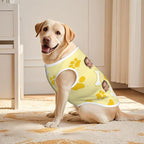 Personalized Matching Dog and Owner Clothes Separately Sold, Custom Face Nightgown for Women Dogs