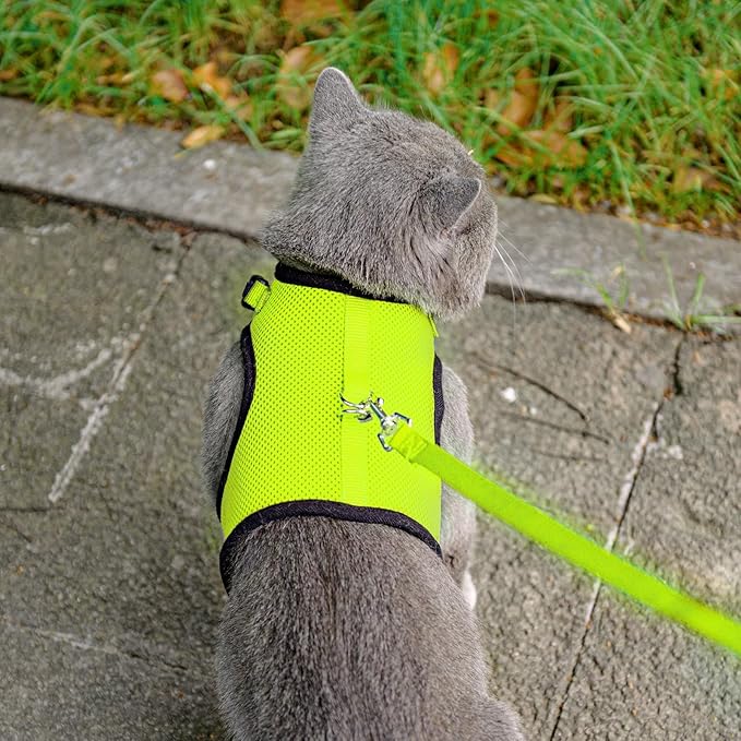 PUPTECK Soft Mesh Cat Vest Harness and Leash Set Puppy Padded Pet Harnesses Escape Proof for Cats Small Dogs Rabbits Bunny