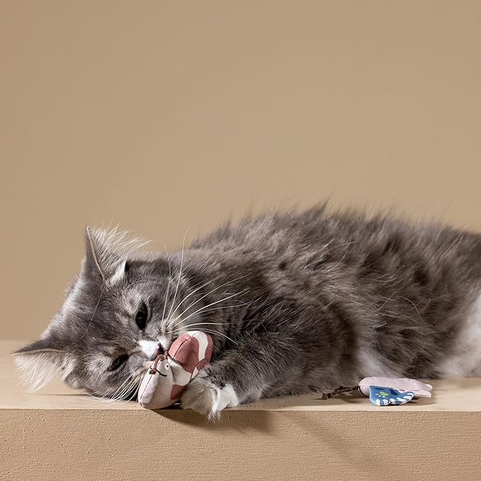 Fringe Studio Catch ME IF You CAN Cat Toy Mini Sets of 3, PetShop Collection (904038)