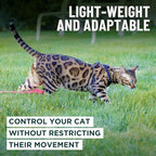 Houdini™ Escape Proof Cat Harness and Leash Set by OutdoorBengal – Orange, Medium Cat Harness for Walking