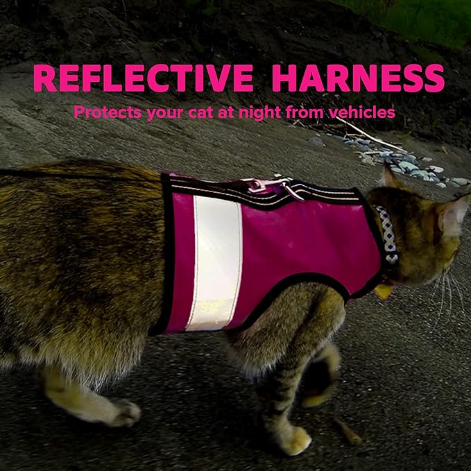 Kitty Holster Reflective Cat Harness – High-Visibility Cat Harness for Travel, Day and Night Walking - Soft Cotton Cat Accessories, Breathable, Secure & Washable, Made in USA - Flamingo Pink, M to L
