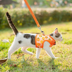 BINGPET Cat Harness with Leash Escape Proof - Fashionable Mesh Cat Dog Walking Harness Leads, Adjustable for Kitties Puppies Small Animals,Orange,S