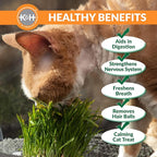 K&H Pet Products Window Lounger with Oat Grass, Cat Window Perch for Large Cats, Farmed in USA, Non-GMO Grass Kit, Sturdy Kitty Sill Window Hammock Bed, Steel Frame, Sturdy Suction Cups - 23 X 12in