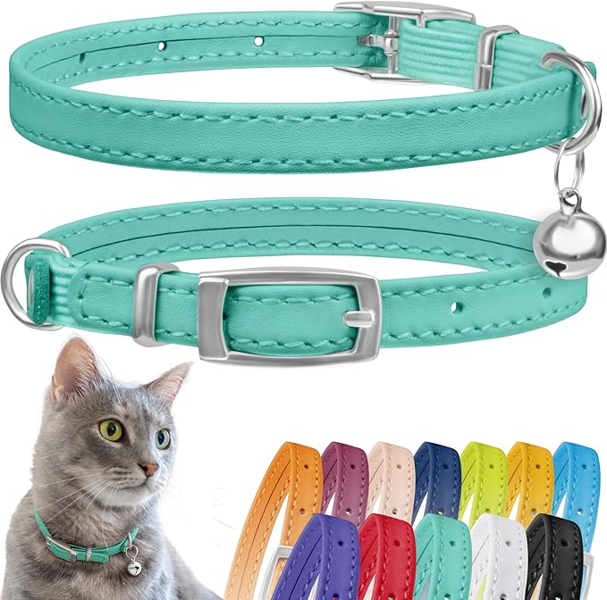 CollarDirect Leather Cat Collar, Cat Safety Collar with Elastic Strap, Kitten Collar for Cat with Bell Black Blue Red Orange Lime Green (Neck Fit 6"-7", Mint Green)