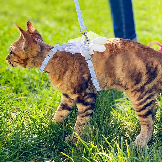 TIESOME Cat Harness and Leash Set, Adjustable Gradient Kitten Harness Escape Proof Harness with Leash for Kitty Outdoor Walking (Ribbon Bear Blue)