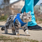 PetiFine Extra Small Step in Dog Harness and Leash Set, Cat Harness and Leash Escape Proof, All Weather Mesh Reflective, Step-in Velcro Air Vest Harnesses for Puppy(XXXS, Blue)