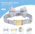 Beirui Cute Extra Small Dog Harness Collar and Leash Set with Bowtie, Soft Adjustable Plaid Puppy Harness for Small Sized Dogs Cats Walks Parties and Photoshoots(Blue,XS:Chest 13-18")