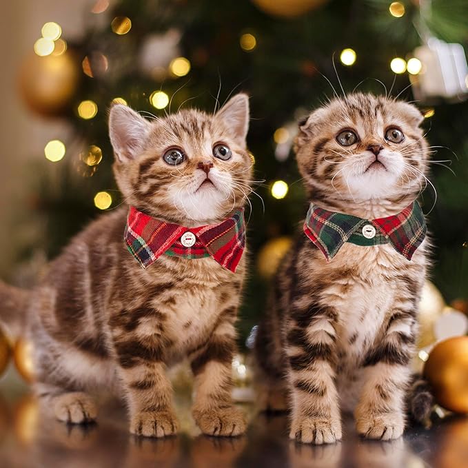 ADOGGYGO Christmas Cat Collars Breakaway with Bow Bell, 2 Pack Stylish Red Green Plaid Xmas Kitten Collar with Removable Shirt Collar, Plaid Christmas Collars for Cats Kittens