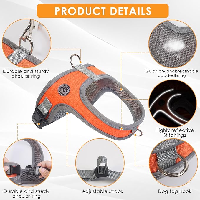 Dog Harness and Leash Set, No Pull Saddle Style Pet Harness, Breathable Mesh Adjustable Reflective Dog Vest for Dogs and Cat Medium Small Harness 2 D-Rings (Orange, XS)