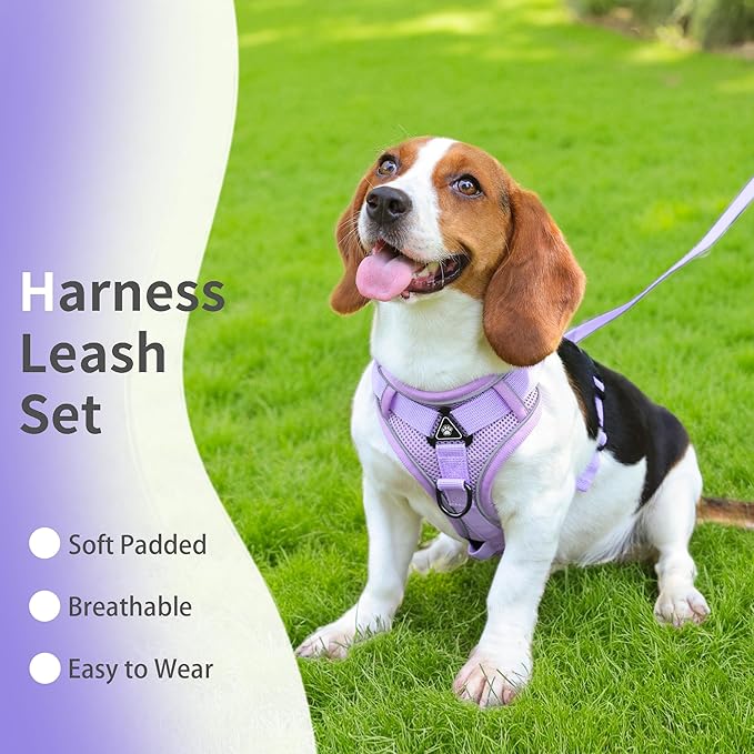 No Pull Dog Harness with Leash Set for Small Sized Dog, Reflective Adjustable No Choke Front Clip Cat Vest Harness with Breathable Mesh, Comfortable Soft Padded Pet Vest, Purple L