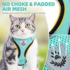 PUPTECK Cat Harness and Leash Set Escape Proof Reflective Cat Walking Harness Adjustable Soft Breathable Mesh Vest for Small Pets, Aquamarine, L