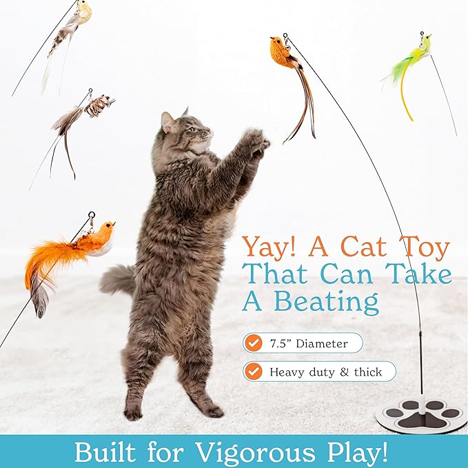 Interactive Bird Simulation Cat Toy Set for Bored Indoor Adult Cats Feather Toy Wand 5 Pcs Natural Bird Feathers Stable Round Base Wand Cat Toys for Indoor Cats Hunting Toys