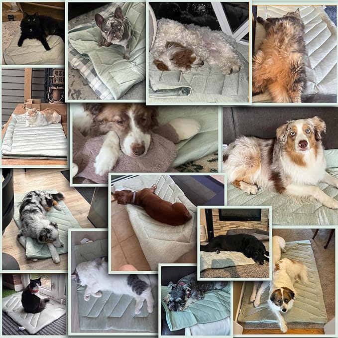 Pet Mat, Reversible Dog Bed Mat for Crate, Soft Warm Flannel for Winter, Washable Anti-Slip Mattress for Large Medium Dogs Sleeping, Multi-Use Kennel Pad for Floor Car Sofa, New Year Gift