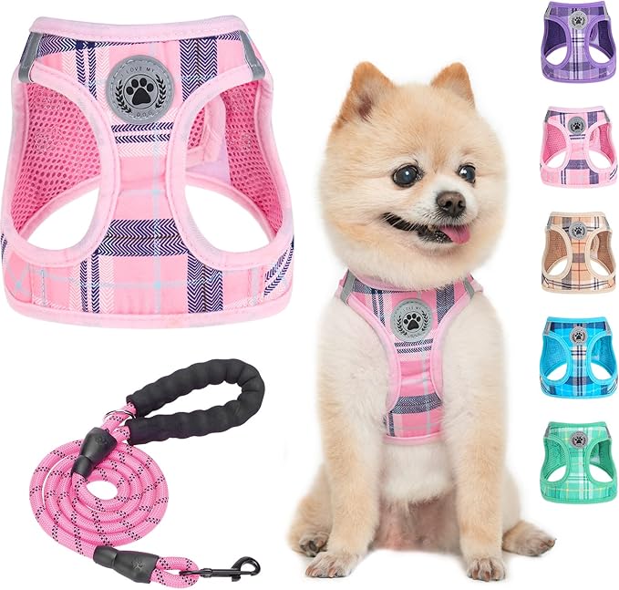 BEAUTYZOO Small Dog Harness and Leash Set,Step in No Choke No Pull Soft Mesh Dog Harnesses Reflective for Extra-Small/Small Medium Puppy Dogs and Cats, Plaid Dog Vest Harness for XS S Pets, Pink XXS
