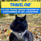 Travel Cat Harness and Leash Set - Adjustable Fit Mesh Cat Harness and Reflective Strap - Comfort Walking Vest for Kitten for Outdoor Walking, Hiking (Large, Grey)