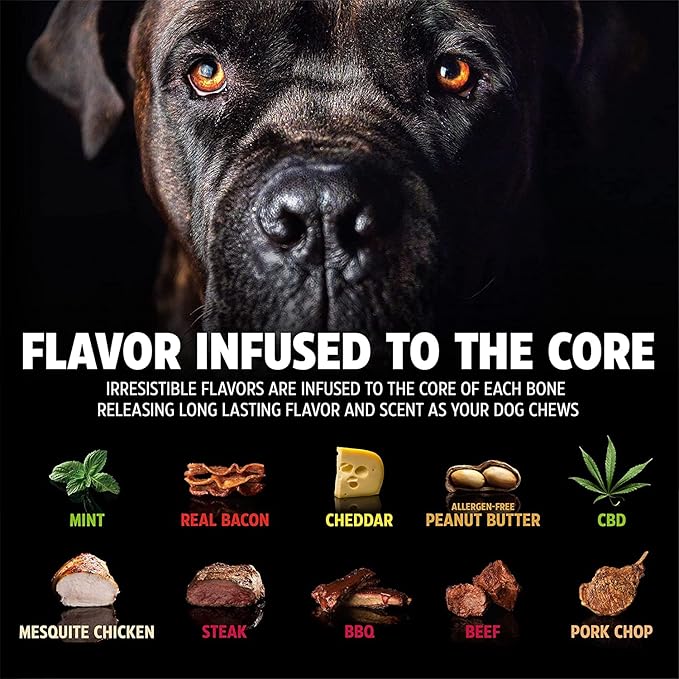 Pet Qwerks Nylon Stick BarkBone - Durable Dog Toys for Aggressive Chewers - Peanut Butter Flavor - 10.75"