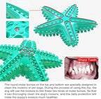 Chew Toy for Dog Toothbrush Stick Dog Toys for Aggressive Chewers Interactive Toys Treats Tough Toy to Keep Them Busy Chew Toys for Small Dogs (Star Toy - Blue)