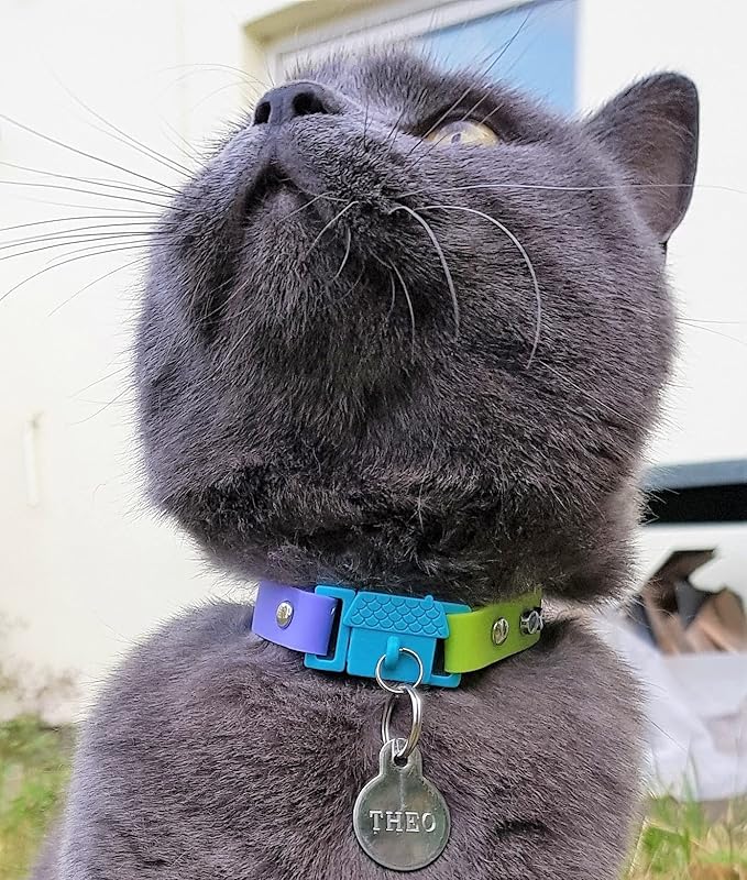 Kittyrama Cat & Kitten Collar - Cat Friendly Award Winner - Soft, Comfortable, Hypoallergenic, with Release Buckle - Seen in Vogue Magazine - Tahiti - Other Styles Available