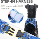 PUPTECK Dog Harness and Leash Set for Small Medium Dogs No Pull Step-in Soft Mesh Puppy Cat Vest Harnesses Reflective at Night, Blue S