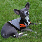 Pets First Hoodie T-Shirt for Dogs & Cats. NFL Cincinnati Bengals Football Licensed Dog Hoody Tee Shirt, X-Small Sports Hoody T-Shirt for Pets Licensed Sporty Dog Shirt (CIN-4044-XS)