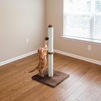 Dimaka 34" Height Tall Cat Scratching Post, Claw Scratcher with Sisal Rope and Covered with Soft Smooth Plush, Vertical Scratch [Full Strectch] for All Cats (Dark Brown, 34 inches for Large Cats)