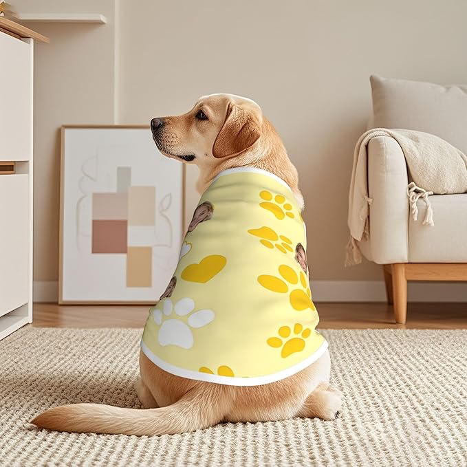 Personalized Matching Dog and Owner Clothes Separately Sold, Custom Face Nightgown for Women Dogs