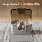 Oneluck Large Cat Litter Box with Transparent Covered,Mat and Scoop, Convenient for Observing Cats, Front Door Flap for Privacy, Gray (23.5" L x 16.9" W x 15.76" H) (23.5" L x 16.9" W x 15.76" H)