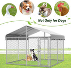 HITTITE Extra Large Outdoor Dog Kennel, 10x10x6.56ft Anti-Rust Dog Kennel Outside with Roof, Galvanized Chain Link Dog Runs for Outside with Secure Lock