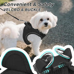 PetiFine Step in Small Dog Harness and Leash Set, Breathable All Weather Air Mesh Reflective Escape Proof, Step-in Vest Harnesses for Puppy(S, Black)