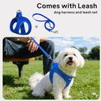 PetiFine Step in Small Dog Harness and Leash Set, Breathable All Weather Air Mesh Reflective Escape Proof, Step-in Vest Harnesses for Puppy(XS, Baby Blue)