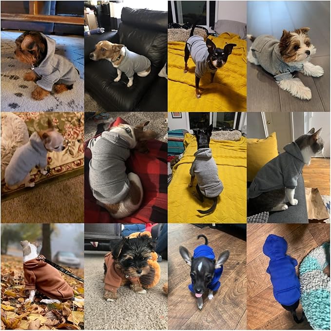 Jecikelon Winter Dog Hoodie Sweatshirts with Pockets Warm Dog Clothes for Small Dogs Chihuahua Coat Clothing Puppy Cat Custume (Grey, Medium)