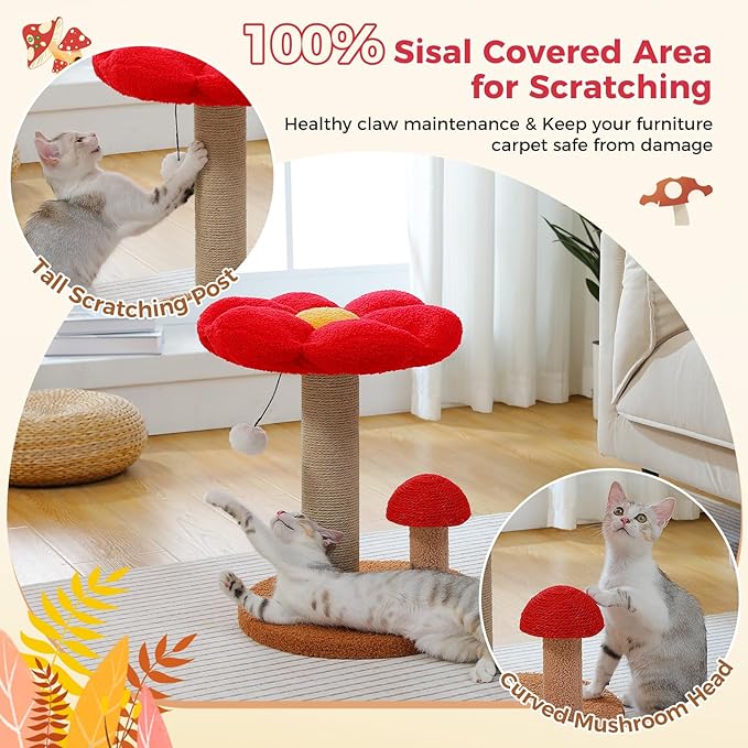 PETEPELA Cat Scratching Post, Mushroom Cat Scratcher Cute Cat Tree Tower with Thick Scratching Post & Removable Flower Cats Bed [Dia=15.7''], Tall Post for Kittens and Indoor Small, Brown