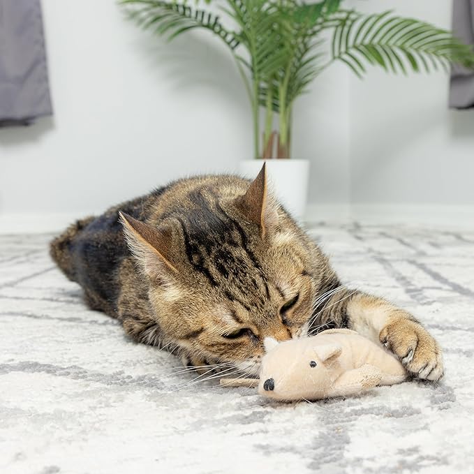 SPOT Flat Mouse Frankie with Catnip - Cat Toy, Fuzzy Mice with Catnip and Crinkle Sound, Perfect Size for Pouncing on, Chasing, Hunting - 5.5in Plush Toys, Assorted Colors