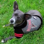 Pets First Hoodie T-Shirt for Dogs & Cats. NFL Atlanta Falcons Football Licensed Dog Hoody Tee Shirt, X-Small Sports Hoody T-Shirt for Pets Licensed Sporty Dog Shirt, ATL-4044-XS