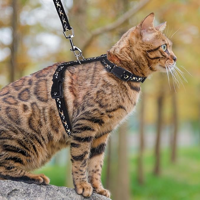 PUPTECK Adjustable Cat Harness and Leash Set Escape Proof Kitten Strap Collar for Walking Travel, Moon&Star, M