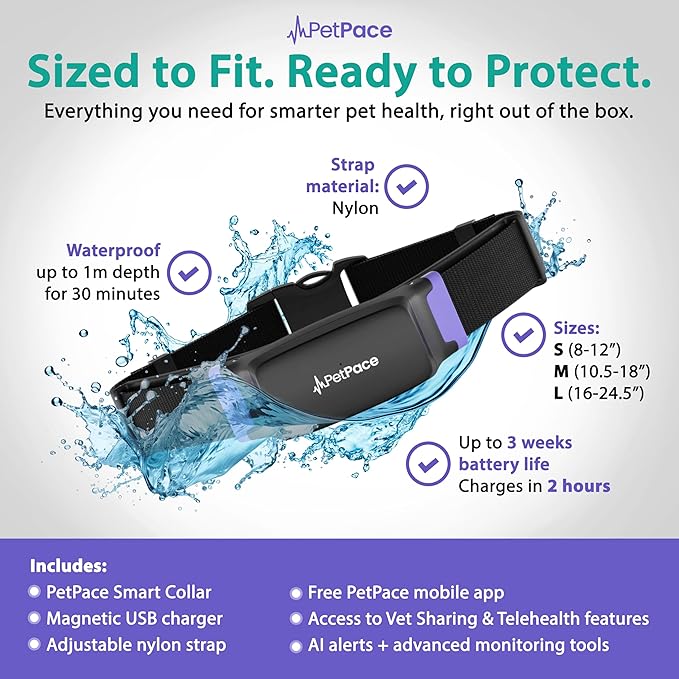 NEW Dog Health Monitor V3.0 by PetPace – AI Smart Collar with 24/7 Vital Signs, Pain & GPS Tracking, Telehealth AskaVet & Share With Your Vet, Smartwatch Sync – Subscription Required (Large)