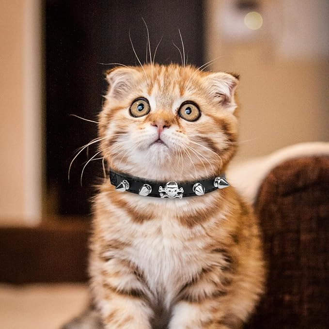 EXPAWLORER Leather Cat Collar for Girl Boy- Adjustable Pet Collar with Safety Elastic Belt,Personalized Punk Accessories Buckle Collars with Bell & Durable D-Ring,Rivet(Black)